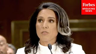 BREAKING NEWS: Tulsi Gabbard Defends Her Record, Slams Intelligence Community In Confirmation Intro