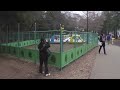 井の頭公園かいぼり2014.1.25