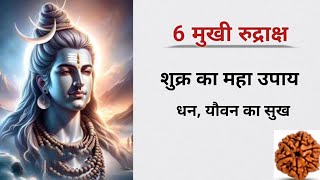 6 मुखी रुद्राक्ष: शुक्र को बल देनेवाला, धन, यौवन बढ़ाने वाला। धारण विधि, मंत्र, लाभ। Rudraksha powers