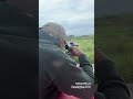 Стрелковый день карабин видео стрельба стрелок винтовка охота kngorinov тигр bullpup