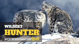 Wildest Hunter 2 - हिन्दी डॉक्यूमेंट्री | Wildlife documentary in Hindi