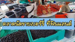 ตลาดนัดขายเบอร์รี่ ของคนไทยในฟินแลนด์