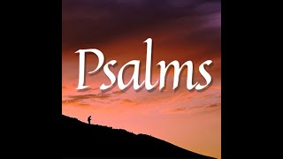 Study Psalm 8