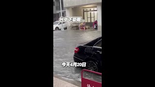 0420台中豪雨馬路變紅河！ #Shorts