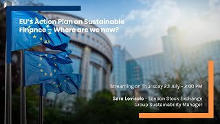 FEEM Webinar - EU’s Action Plan on Sustainable Finance – Where are we now?
