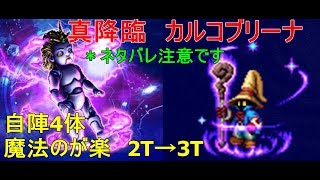 【FFBE】真降臨カルコブリーナ　4体2ターン3ターン　ビビで