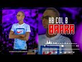 HB COL B _-_BAARA (son officiel 2024)