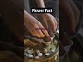 interesting facts about flowers i bet you didn’t know 75