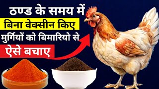 ठण्ड के समय में बिना वेक्सीन किए मुर्गियों को बीमारियो से ऐसे बचाएं(Murgi Palan,Chicken Care)