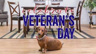 Aki Home 2016 Veterans Day Commercial