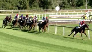 Dielsdorf/23.08.2016/Preis von Galopp Schweiz - trainingszentrale Urdorf