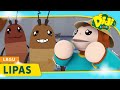 Lipas | Didi & Friends Lagu Kanak-Kanak | Didi Lagu Baru