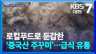 로컬푸드로 둔갑한 ‘중국산 주꾸미’…학교급식 유통 / KBS  2024.06.13.