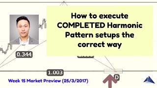 How to execute COMPLETED Harmonic Pattern setups the correct way?