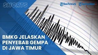 BMKG Jelaskan Penyebab Gempa 5,2 SR di Pacitan Jawa Timur, Dirasakan di Kulon Progo hingga Madiun
