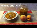 Simple And Easy Aaru ki Chutney By Kitchen Chemistry