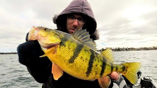 EARLY SPRING JUMBO PERCH FISHING