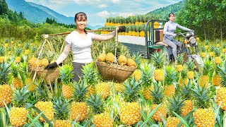 Harvesting Lots Of Pineapple By 3-wheeled Vehicle  Goes To Countryside Market Sell - Farm Life