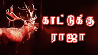 காட்டுக்கு  ராஜா  | Kaatukuraja | King of the Forest | Kids Story | SAARAA STORIES