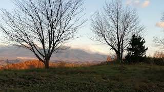 晩秋の夕暮れ