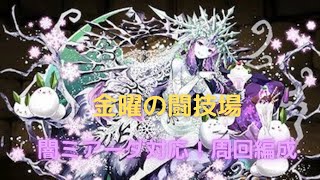 【パズドラ】闇ミアーダ対応PT解説！金曜の闘技場