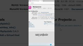 How to Open WAMP Server Localhost & Run PHP Projects in Your Browser (Step-by-Step)