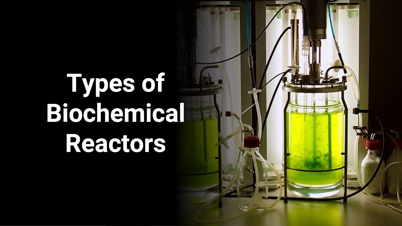 Types Of Biochemical Reactors [Chemical Reaction Engineering] - YouTube