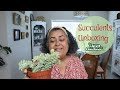 Huge Succulents Unboxing! 🌵The Next Gardener succulents with discount code