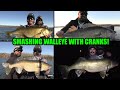 Pulling Crankbaits for Walleye! | Smashing Walleye!!