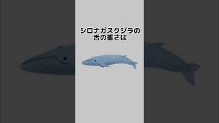 【雑談ネタ】生物に関する雑学 #雑学 #おもしろい#どうでもいい雑学 #動物雑学 #shorts