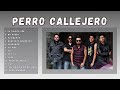 Perro Callejero - Los Mejores Éxitos (Mix 2023)