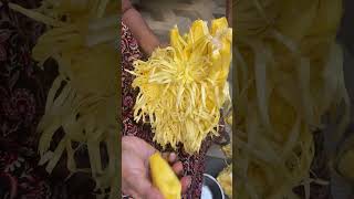 எங்கள் வீட்டு பலா பழம் | Jackfruit from our backyard #shorts #trending#nature #jackfruit