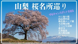 【桜名所ツアー】山梨の桜名所を訪ねて～ゆるキャンスポット+α～