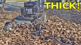 Extreme Leaf Mulching!