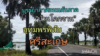 ชนบทบ้านเรา บรรยากาศตอนนี้ #ห้วยทับทัน #อุทุมพรพิสัย #ศรีสะเกษ 6 ตุลาคม ค.ศ. 2022