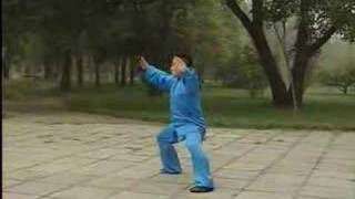 Chen Competition Taijiquan Form