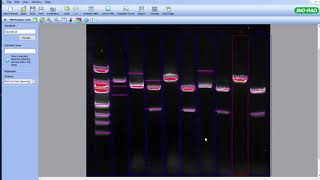 image lab tutorial