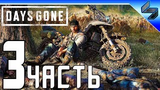 DAYS GONE (Жизнь После) Прохождение ➤ Часть 3 На Русском ➤ PS4 Pro [1080p 60FPS]