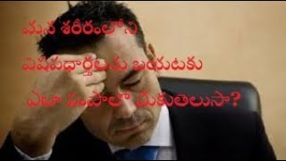 WHY TO COME TOXINS IN HUMAN BODY/టాక్సిన్స్ మన శరీరం లోకి ఎందుకు వస్తాయో మీకు తెలుసా?