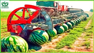 Modern Agriculture Robotic Machines That Are At Another Level - Factory Process ▶ 3