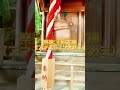 感謝王！盛岡八幡宮⛩️神明神社✨ 開運 shorts 感謝王ジャッキー 感謝 幸せ ありがとう 開運祈願