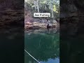 Jew Fishing #kayakfishing  #sydneyfishing