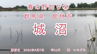 群馬県館林市　城沼　春の野釣り⑤ 尺べらを求めて...九寸へらでした。