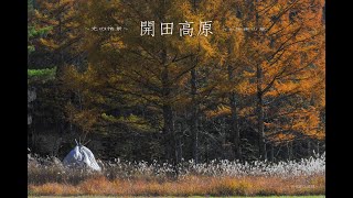 光の情景・開田高原１１月ー癒しの風景写真（４K )　ひだまりーMusic Material　PHOTO:Susumu Tanaka