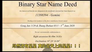 山河令 重在知己演唱会  山人们的强势应援 太不给其他家的粉丝留活路了