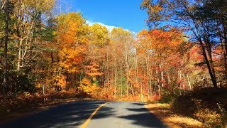 Driving and watching fall color in Muskoka, Canada 蜜月湖驅車賞楓