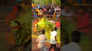 சத்தி களத்தில் மாஸ் ஆட்டம் #shotfeet #jallikattu #viral