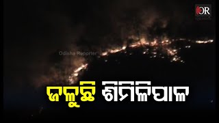 Fire Breaks Out In Mayurbhanj's Similipal Forest, Odisha Reporter