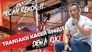 REKOR BARU‼️ KACER DEWA RUCI VS THE ZARROT, DEAL OR NO DEAL!? || PRIO EXCELLENT VLOG