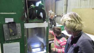 Seed Solutions Nursery Shelling